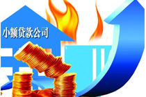 嘉興投資理財項目哪個最受歡迎