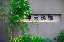 嘉興夏季練瑜伽，瑜伽減肥會反彈嗎